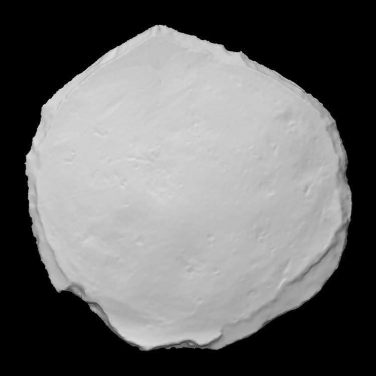 Colonoware Vessel Base