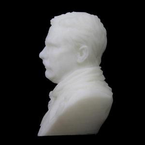 Bust of Theodore Roosevelt at the American Museum of Natural History