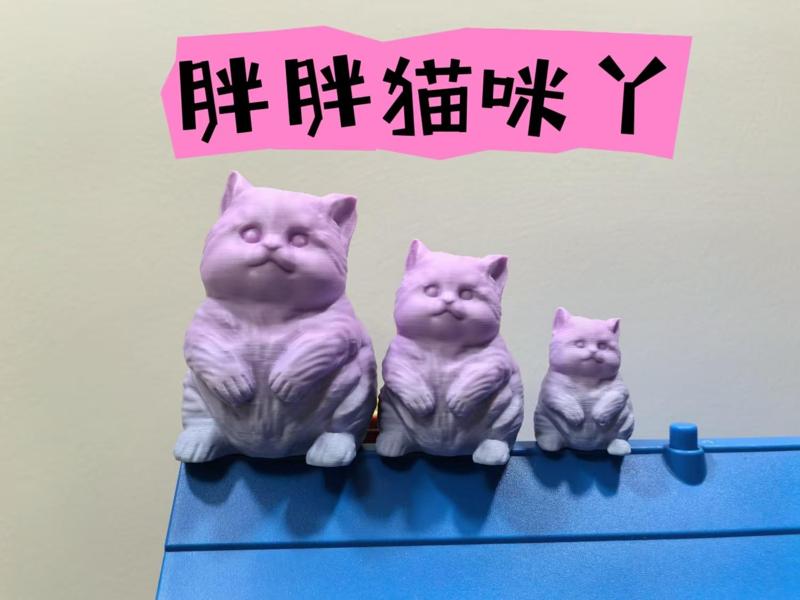 Plump kitty cat, meow~