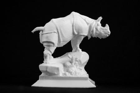 Rhinoceros at the Museum d'Orsay, Paris