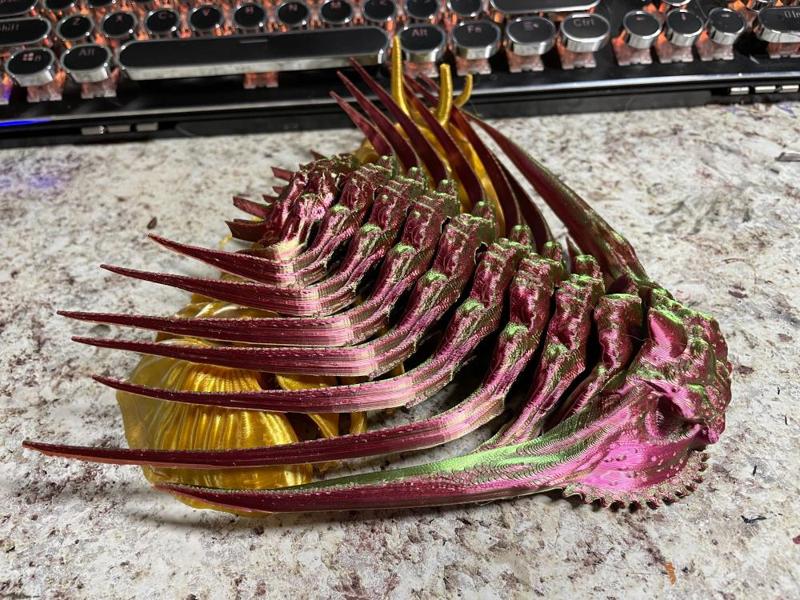 Trilobite - Kettneraspis sp.