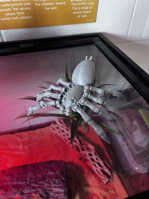 3d Ball joint spider