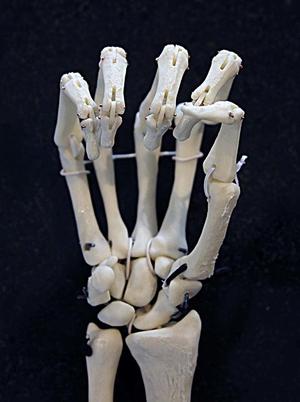 Double hinge finger joint remix