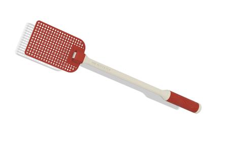fly swatter 'You Better Fly'