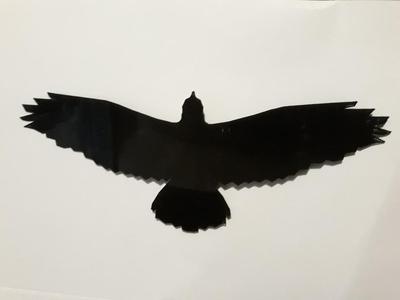 Flying Turul / repülő turul