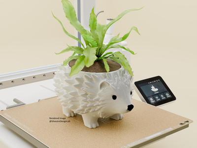 Porcupine Plant Pot