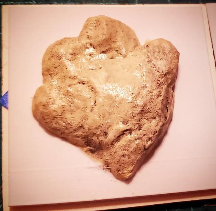 Large Ceratopsipes track, Golden CO