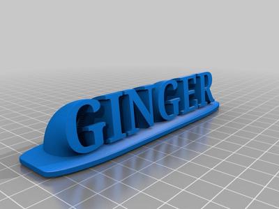 Nameplate Ginger