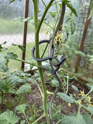 Sponky na rajčata a jinou zeleninu do skleniku