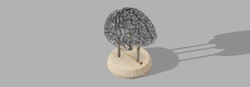 Lámpara de cerebro RGB / RGB Brain Lamp