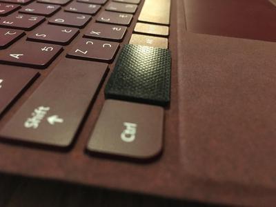 FN KILLER for Surface go jp type cover.