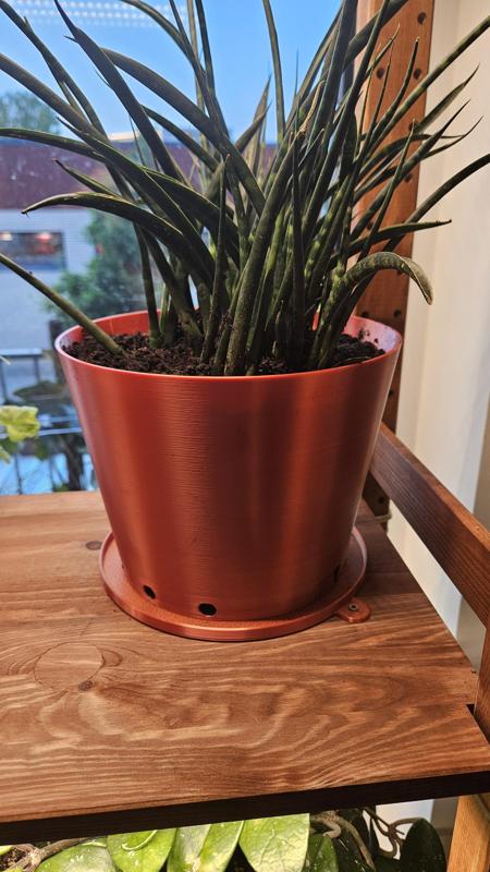 Cat proof plant pot