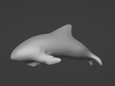 Vaquita