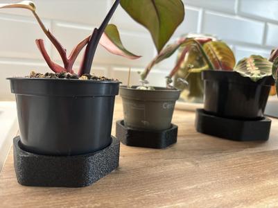 modern flowerpot plate