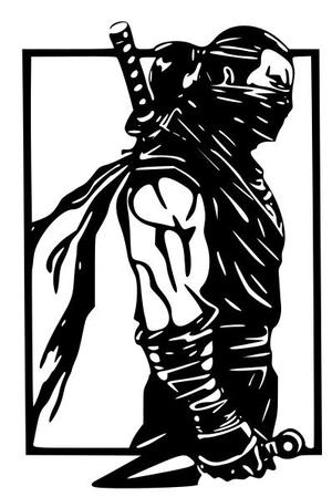 Ninja Assassin Wall art