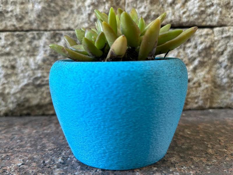 Planter for Succulents and Other Plants