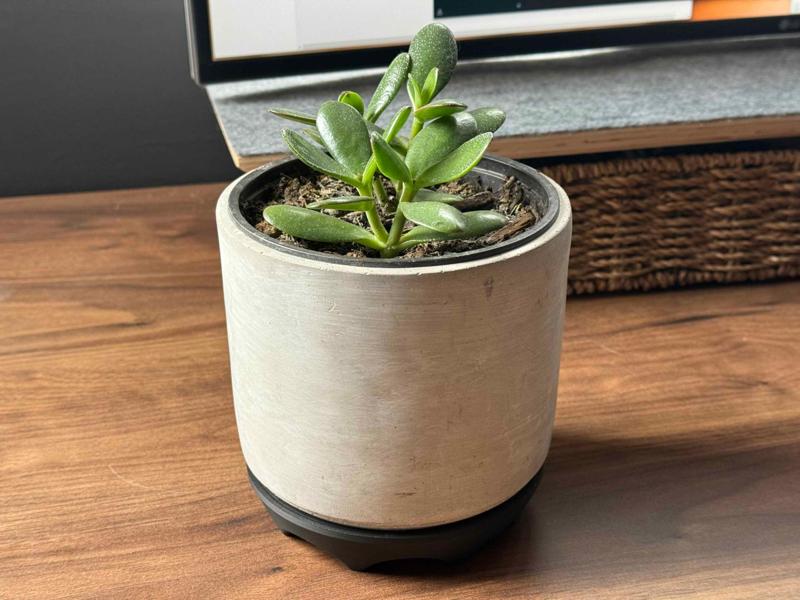 Plant Pot Holder