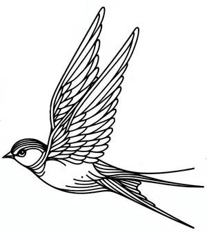 Wall Art - The flying bird 1