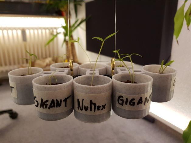 Nursery Pot / Anzuchttopf