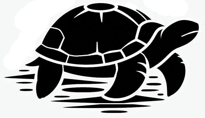 Stencil: Turtle 3