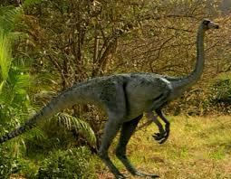 ornithomimus