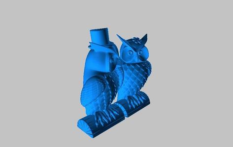 Mr. and Miss. Owl