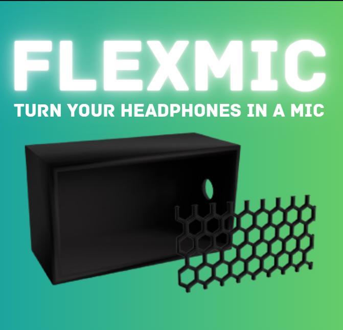 FlexMic