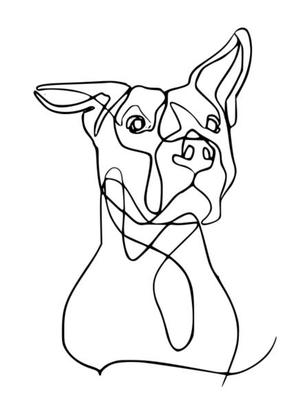 Pitbull Dog Line Art