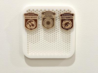 Wall Hung Pin Board for NPS Junior Ranger Badges