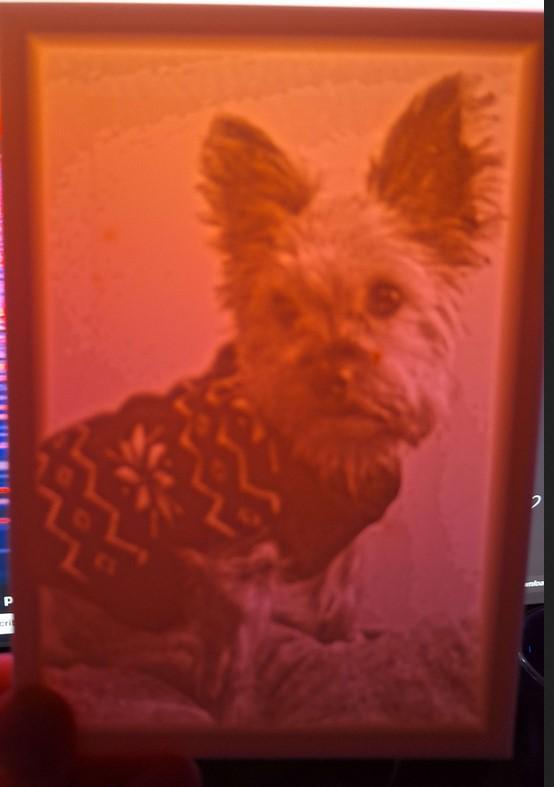 Yorkie in Sweater Lithophane