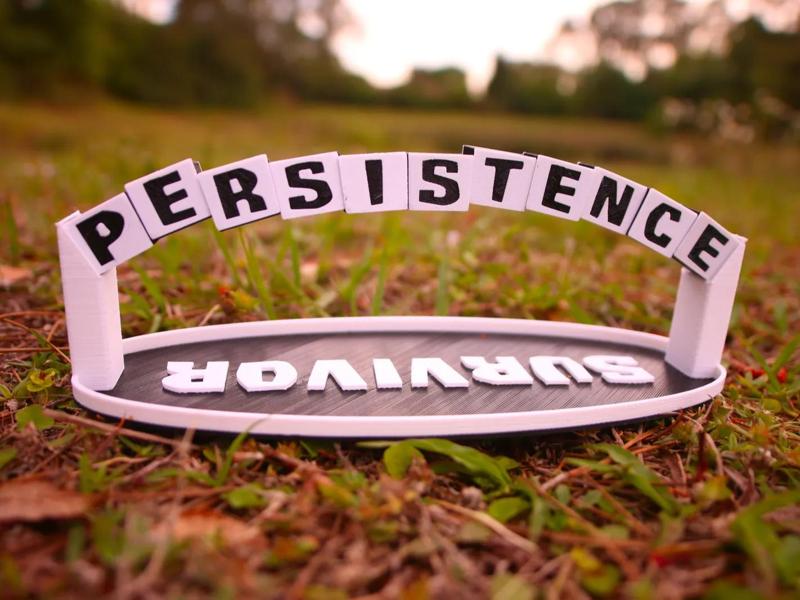 Survivor PERSISTENCE Arch Puzzle