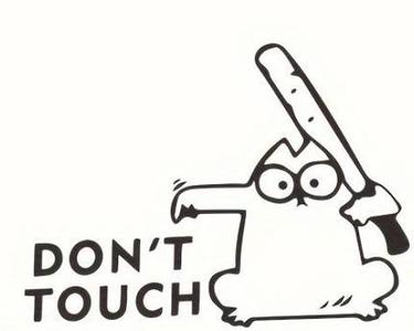 Don't Touch Cat