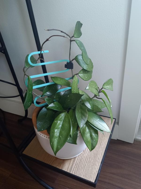 Plant Support