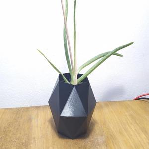 Hexagonal flower pot #5