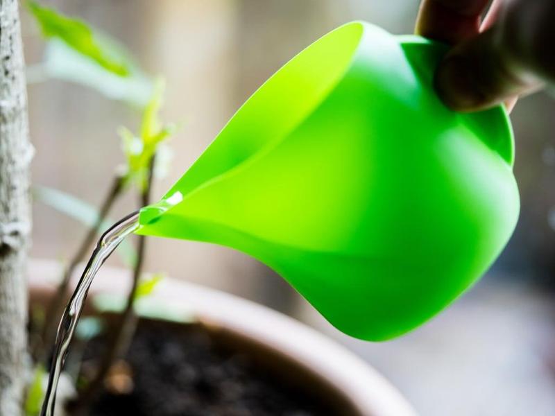 Universal Jug Pot Can Vasemode Waterproof, Fast print  & Precise