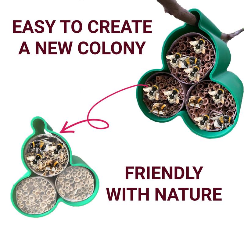 Colony Pollinator Hub