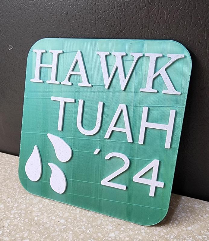 Hawk Tuah '24