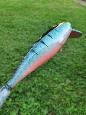 40 Gramm Crankbait / Wobbler