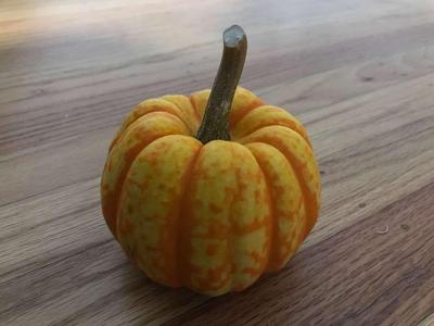 Small Pumpkin Photogrammetry Scan
