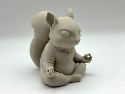 Zen Squirrel