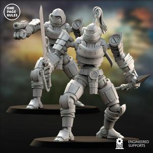 Ninja Walker - Eternal Dynasty