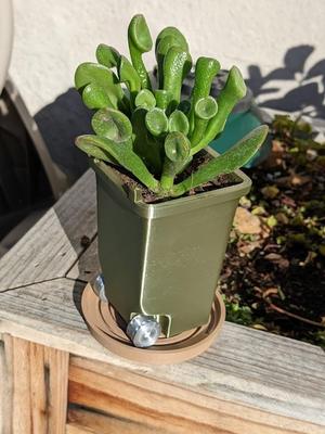 Mini Trash Can With Holes On The Bottom And Saucer