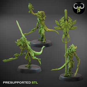 Nova guard Leader Set