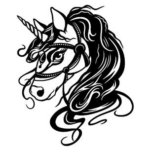 2D Unicorn