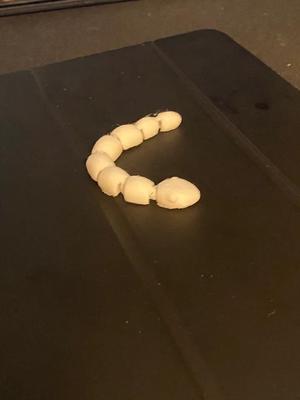 flexi snake   