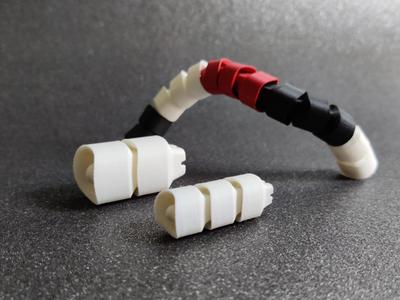 Parametric Snake Link