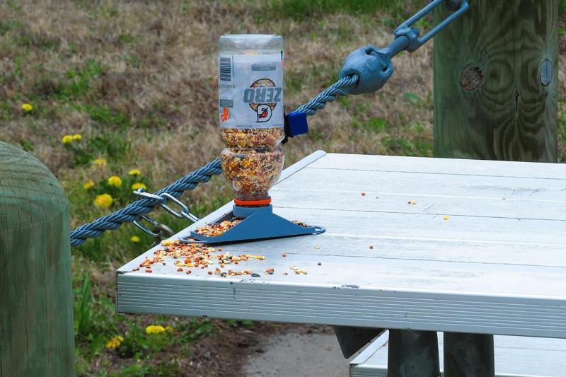Flat(ish)-Pack Soda Bottle Bird Feeder