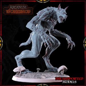 Hunting Werewolf