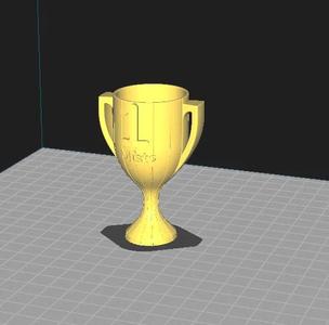 First place cup   