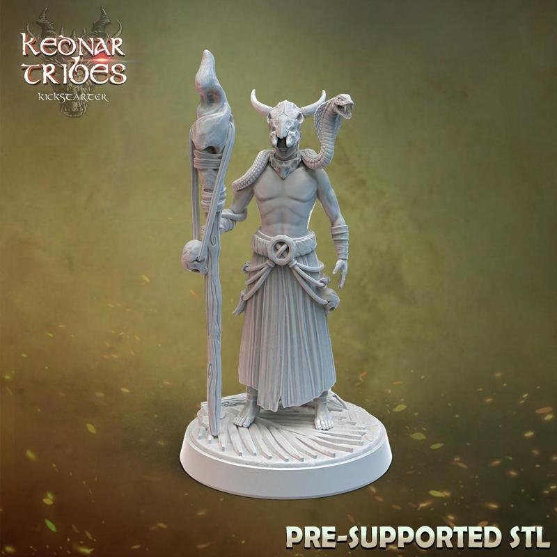 Tribal druid character (2 poses)